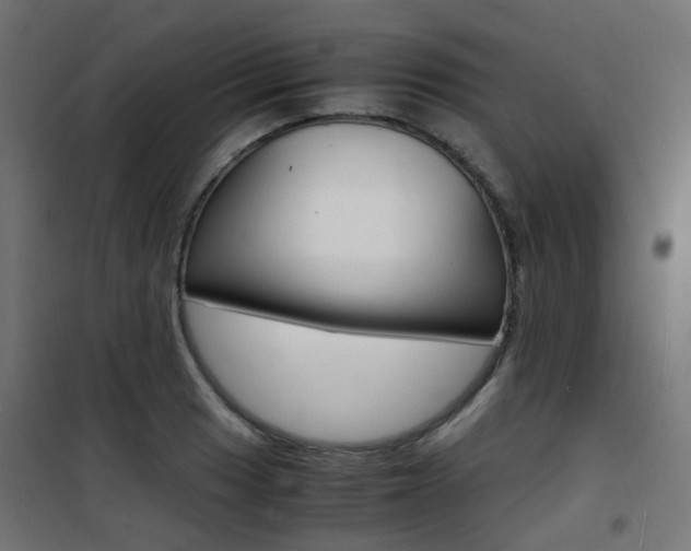 X0000101481033200807071238