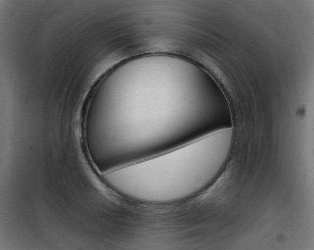 X0000101481034200807071238