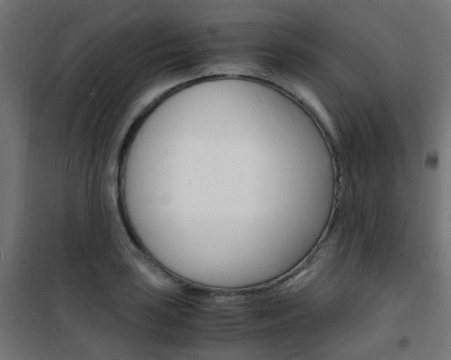 X0000101481035200807071238