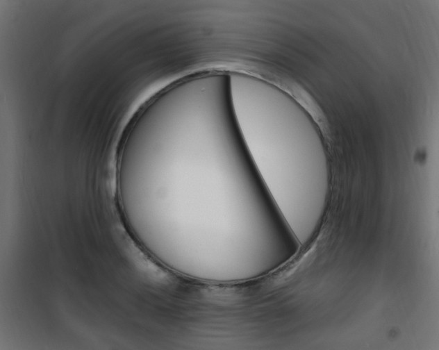 X0000101481036200807071238