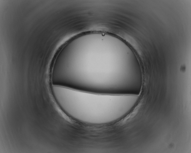 X0000101481037200807071238