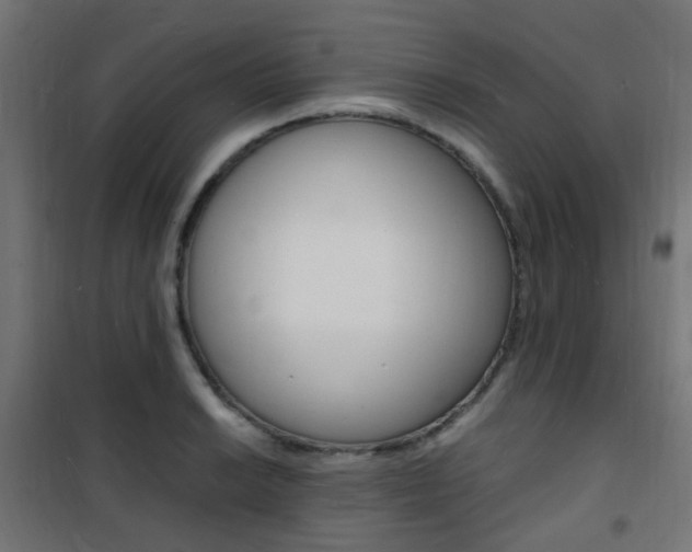 X0000101481038200807071238