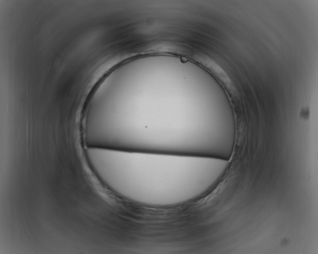 X0000101481039200807071238