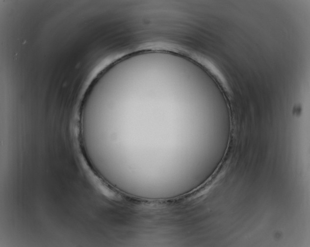 X0000101481040200807071238
