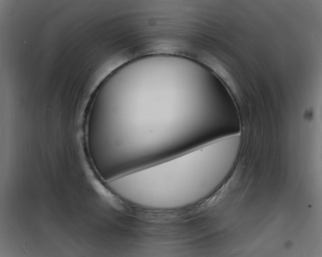 X0000101481042200807071238