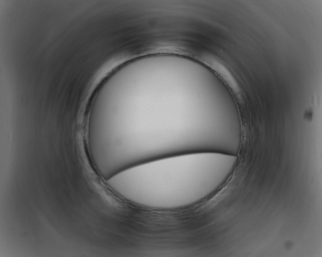 X0000101481043200807071238