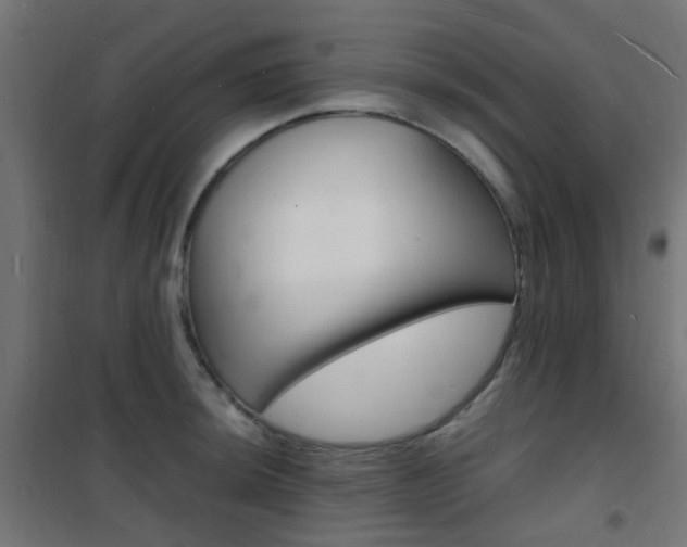X0000101481044200807071238