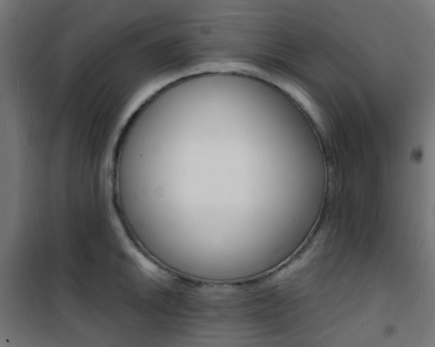 X0000101481046200807071238