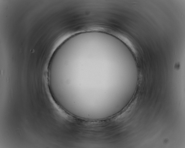 X0000101481047200807071238