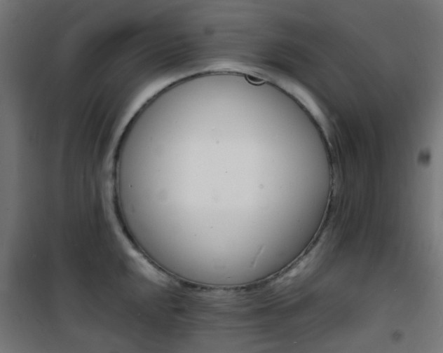 X0000101481048200807071238