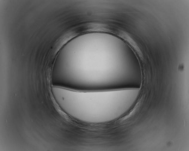 X0000101481049200807071238