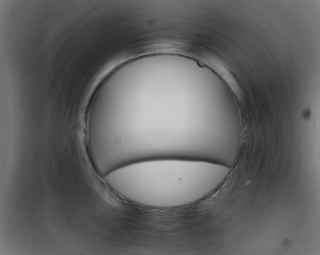 X0000101481051200807071238