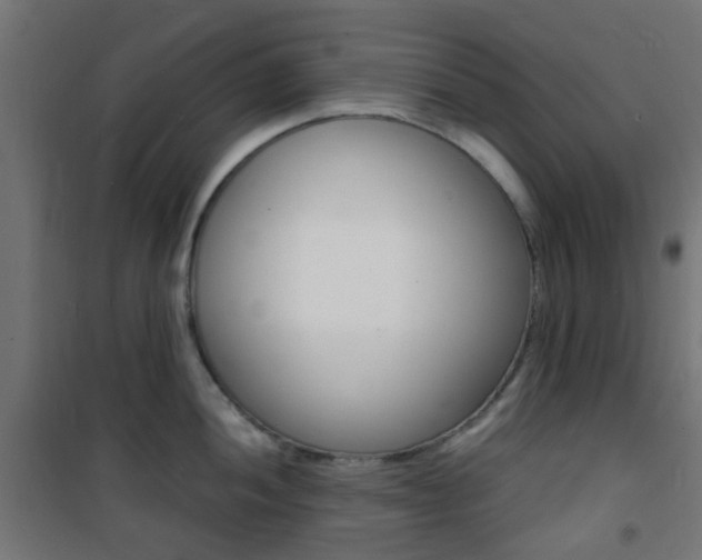 X0000101481052200807071238