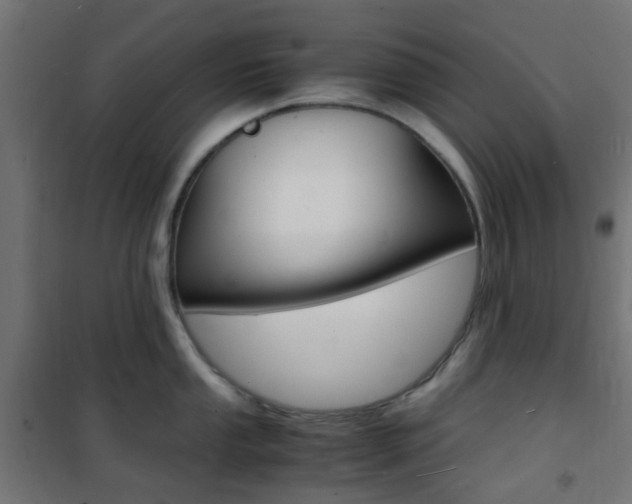 X0000101481053200807071238