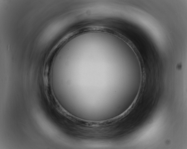 X0000101481054200807071238