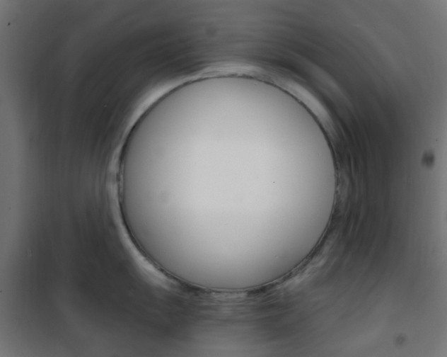 X0000101481055200807071238