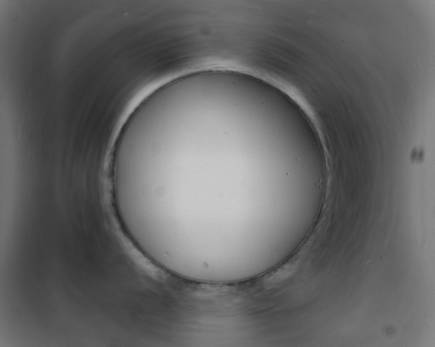 X0000101481056200807071238