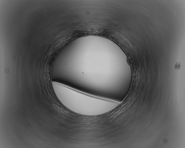X0000101481058200807071238