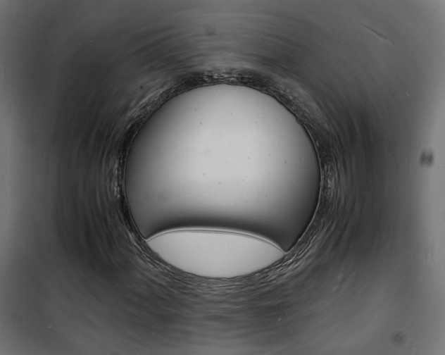 X0000101481060200807071238