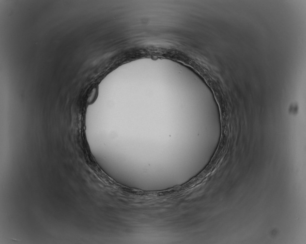 X0000101481061200807071238