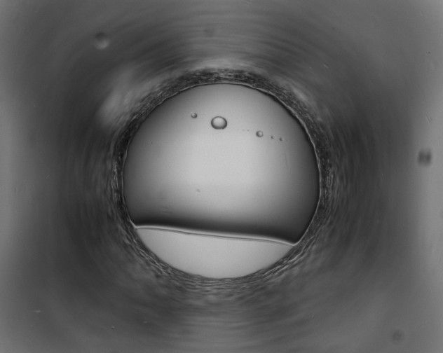 X0000101481062200807071238