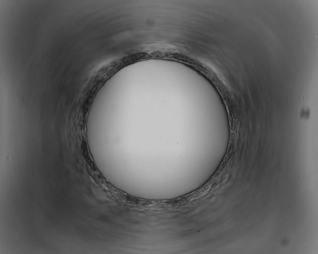 X0000101481063200807071238