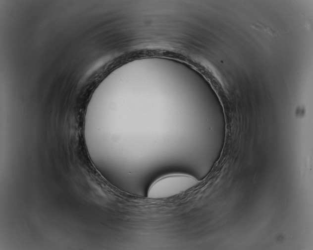 X0000101481064200807071238