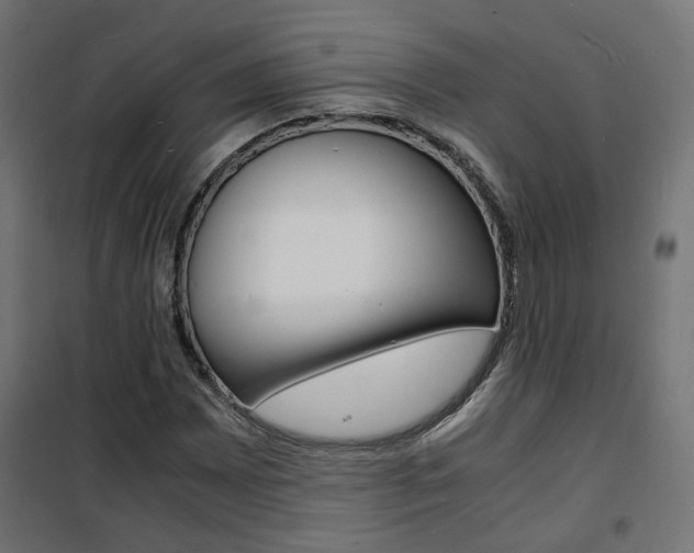 X0000101481065200807071238