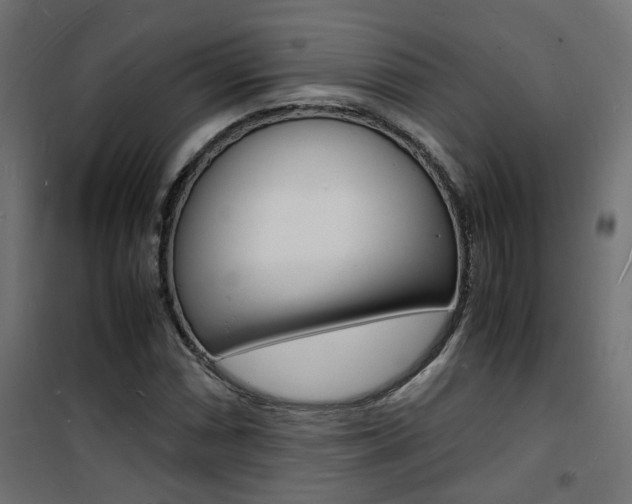 X0000101481066200807071238