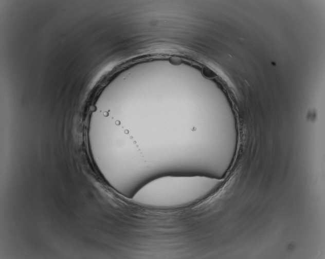X0000101481067200807071238