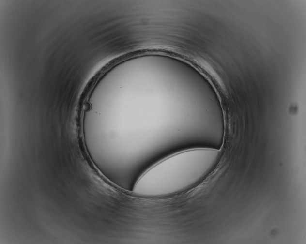 X0000101481068200807071238