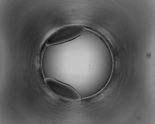 X0000101481069200807071238
