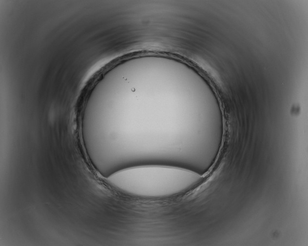 X0000101481070200807071238