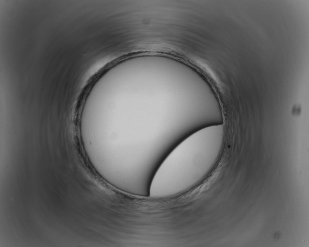 X0000101481071200807071238