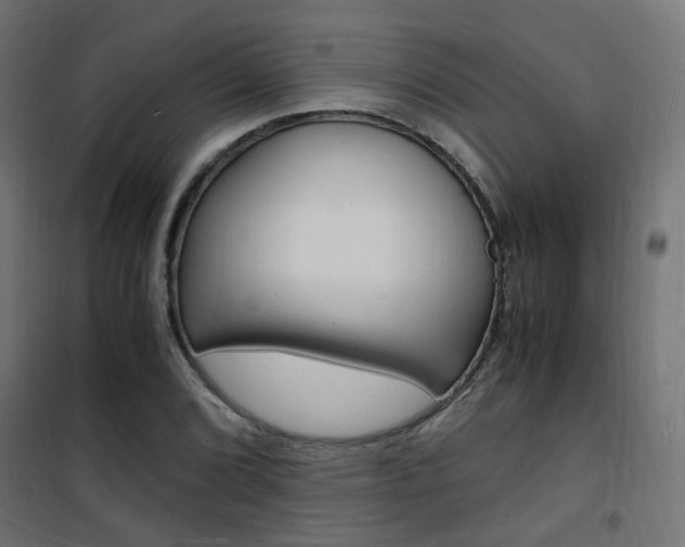X0000101481072200807071238