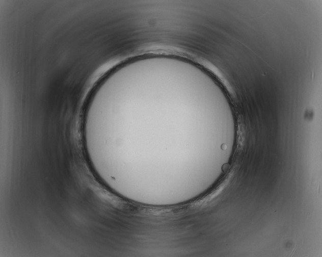 X0000101481074200807071238