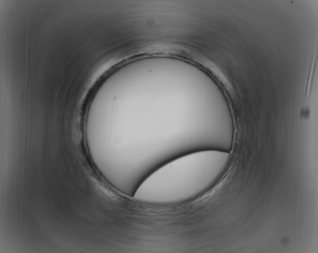 X0000101481075200807071238