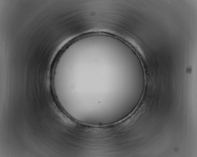 X0000101481076200807071237
