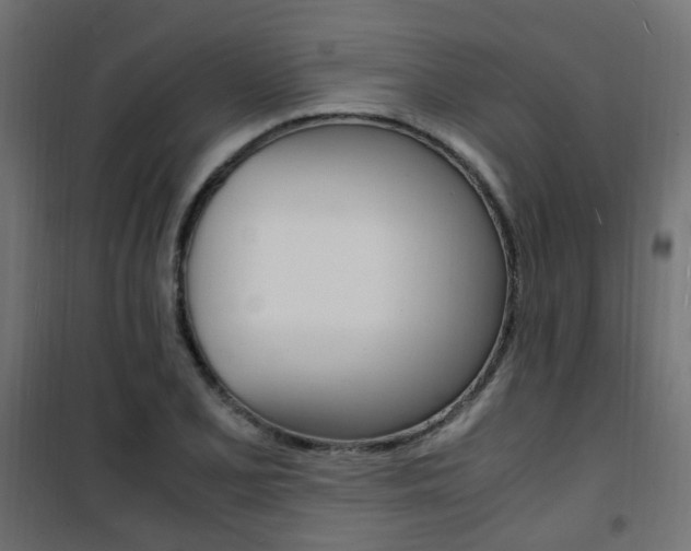 X0000101481077200807071237