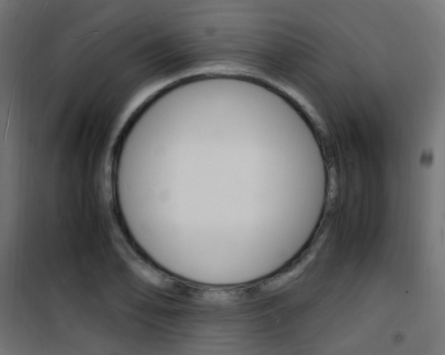 X0000101481078200807071237