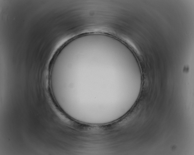 X0000101481079200807071237