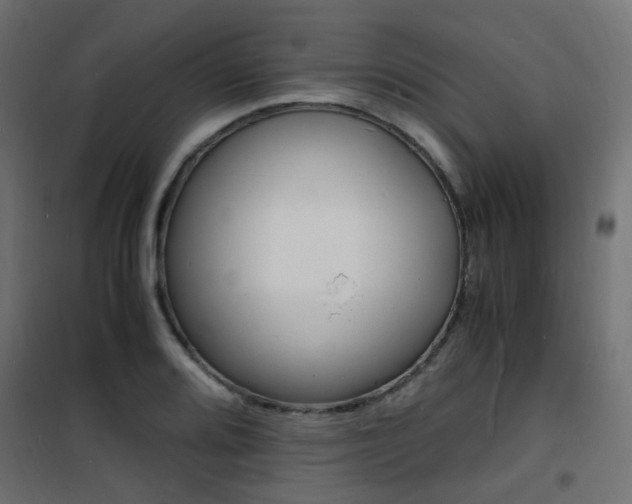 X0000101481080200807071237