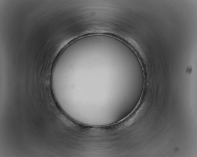 X0000101481081200807071237