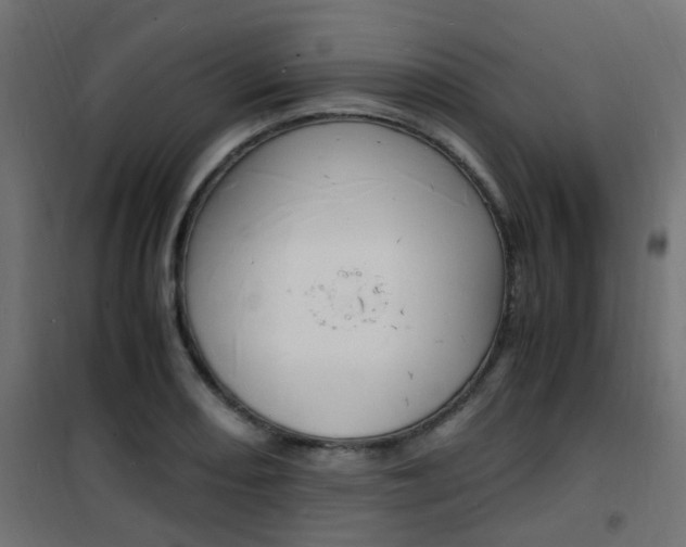 X0000101481082200807071237