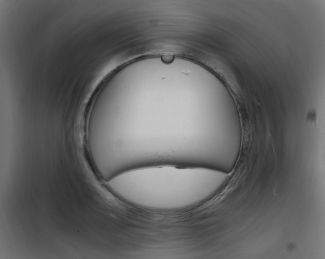 X0000101481083200807071237