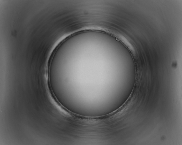 X0000101481084200807071237