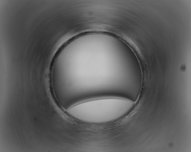 X0000101481085200807071237