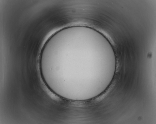 X0000101481086200807071237