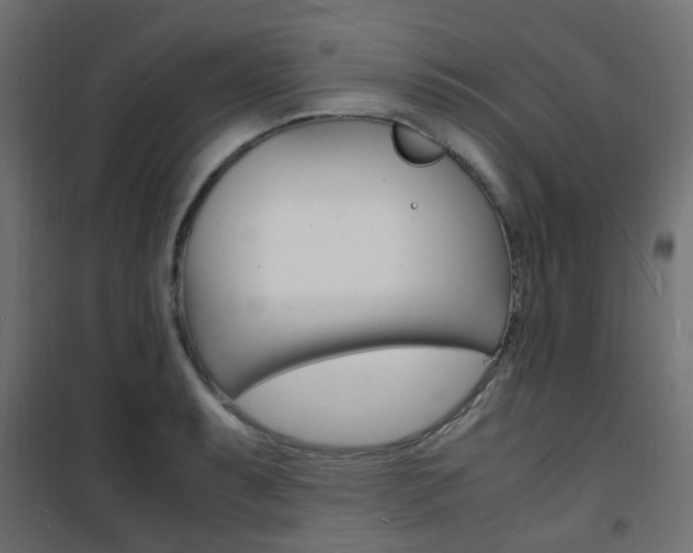 X0000101481087200807071237