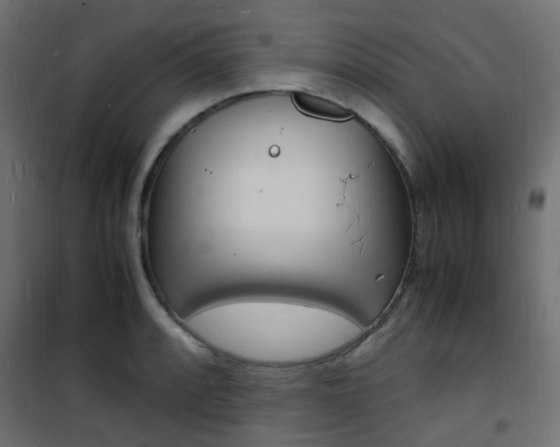 X0000101481088200807071237